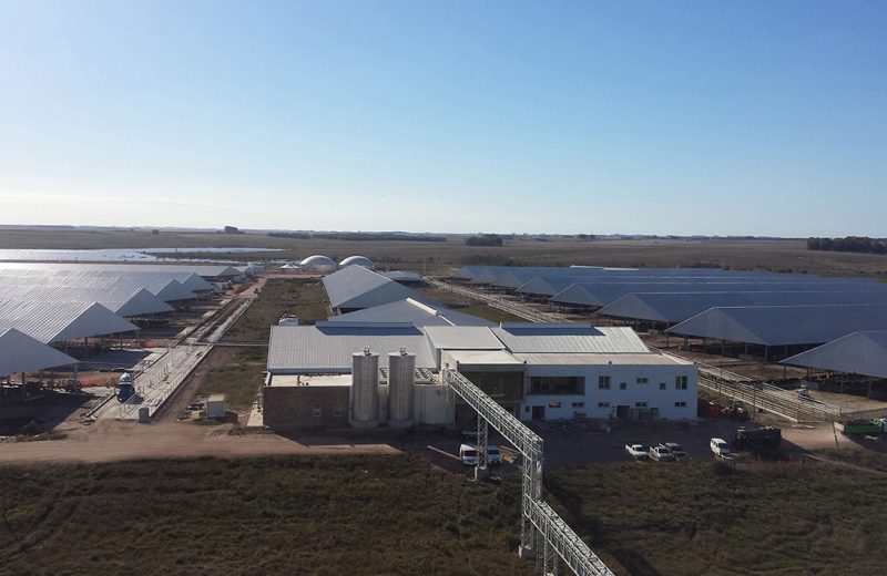 Honeywell Technology to Fuel Syzygy Plasmonics Renewable Energy SAF Project