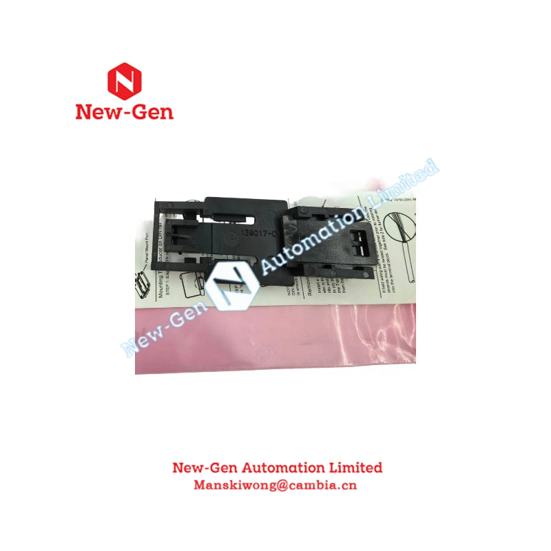 Bently Nevada 138493-01 Replacement DIN-Mount Mounting Pad