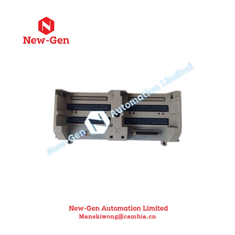 1C31205G01 REV18 Emerson Base Assembly