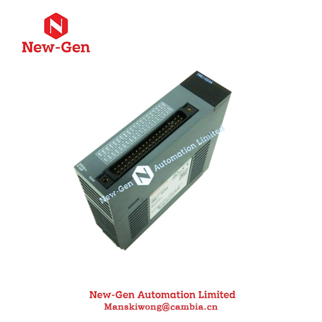 Honeywell 2MLI-D24A MasterLogic-200 Series