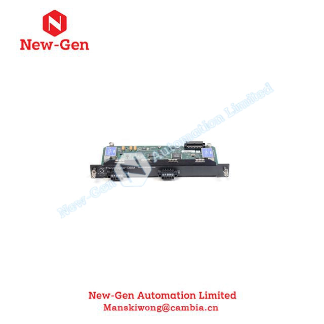 Bently Nevada 149787-01 TIM Input Card