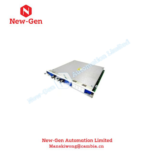 Bently Nevada 1720025 General Purpose Equipment Monitor