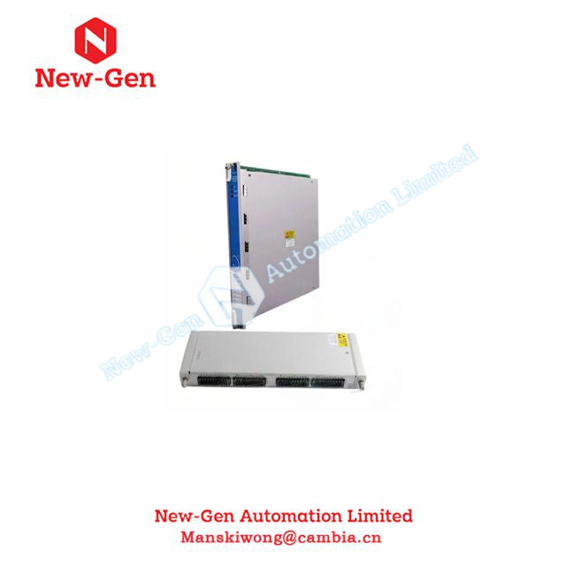 BentlyNevada 3500/65-01-00 145988-02+172103-01 Temperature Monitor Module