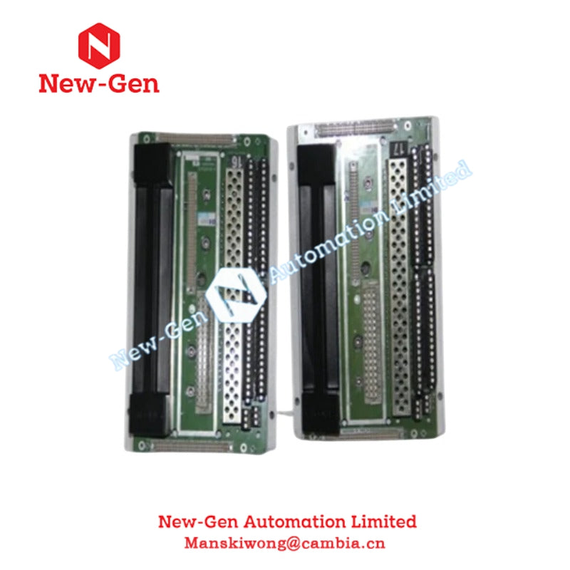 D02401H | Triconex | Digital Output Related Hardware Assembly