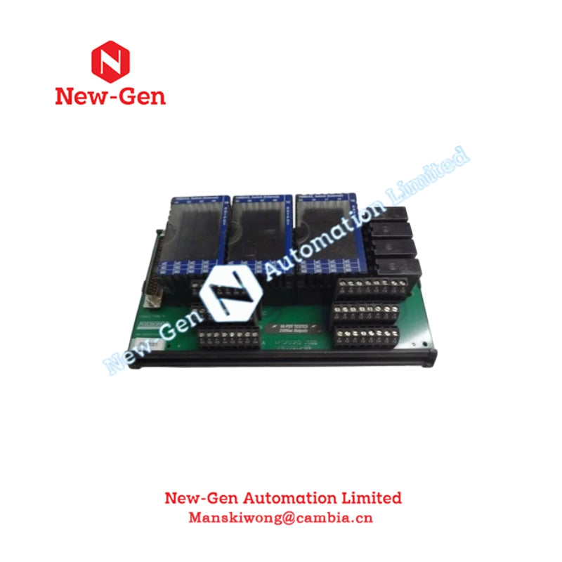 FOXBORO  P0916NG FBM242 Termination Assembly