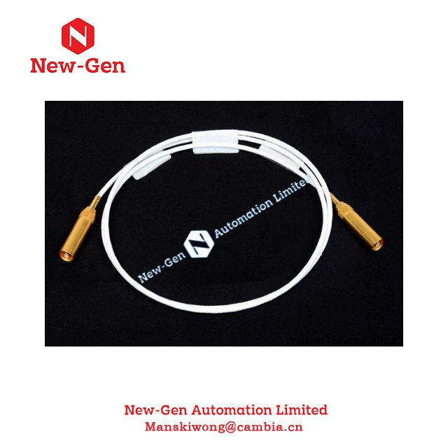 Foxboro P0912CD SSBA Jumper Cable In Stock 100% Genuine