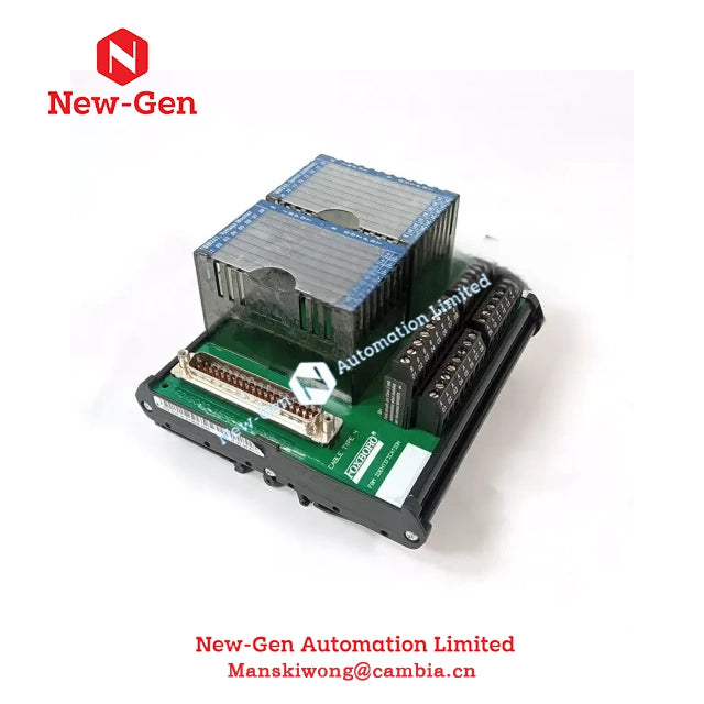 Module đầu cuối hiện trường Foxboro P0916UY Còn Hàng Chính Hãng 100%