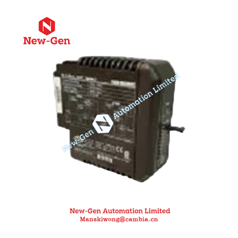 VE4003S2B3 | DeltaV | Analog Input Card and Termination Block